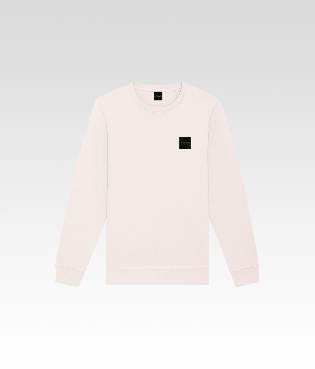 Le Pull Col Rond Beige avant