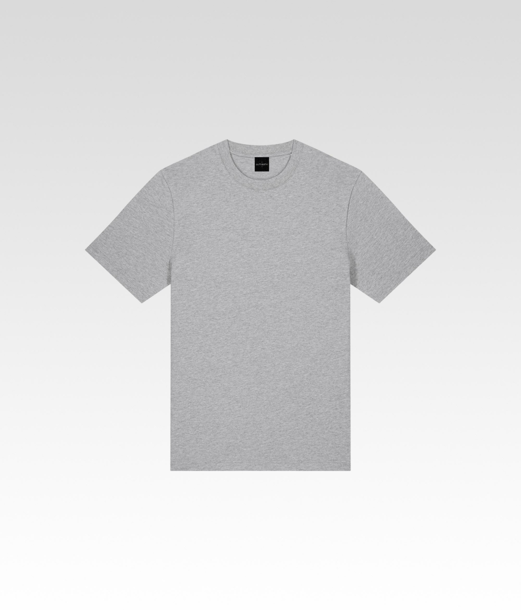 T shirt Authentic SYSA gris frais noir avant